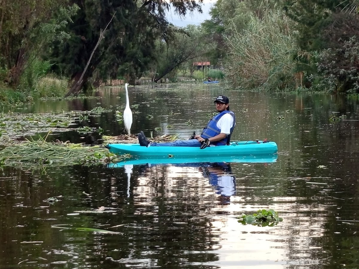Barrio Chinampero Kayak Tours gallery 8
