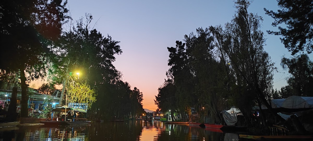 Trajineras Xochimilco Lindo gallery 9
