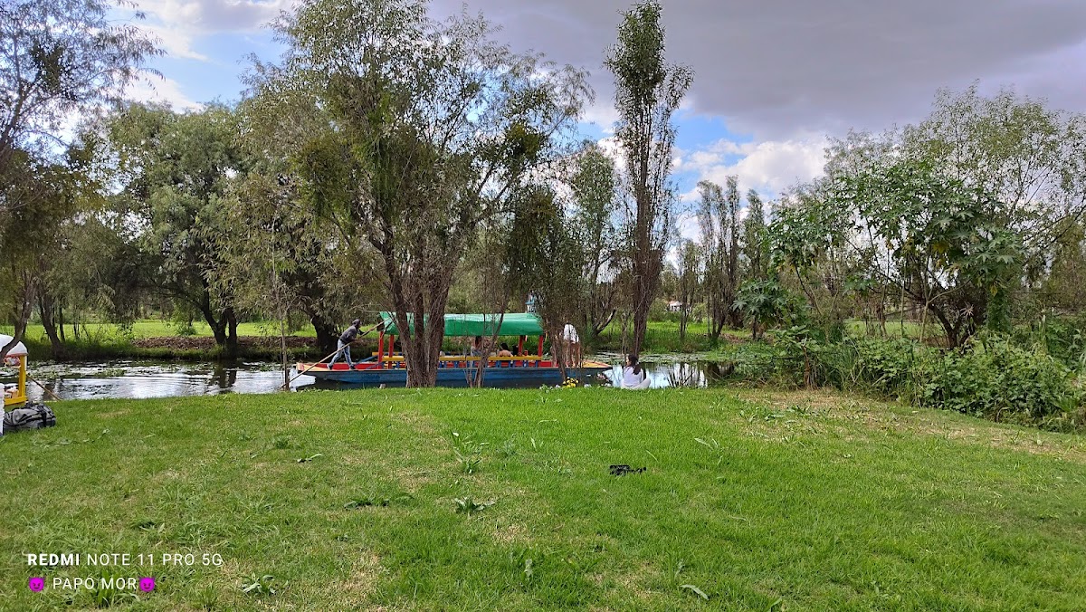 Trajineras Xochimilco Lindo gallery 10