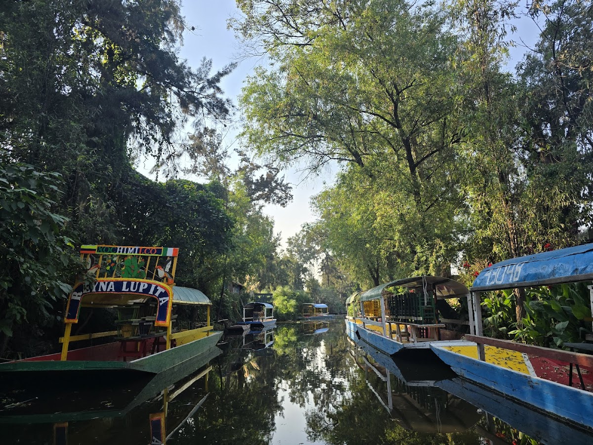 Trajineras Xochimilco Oficial gallery 2