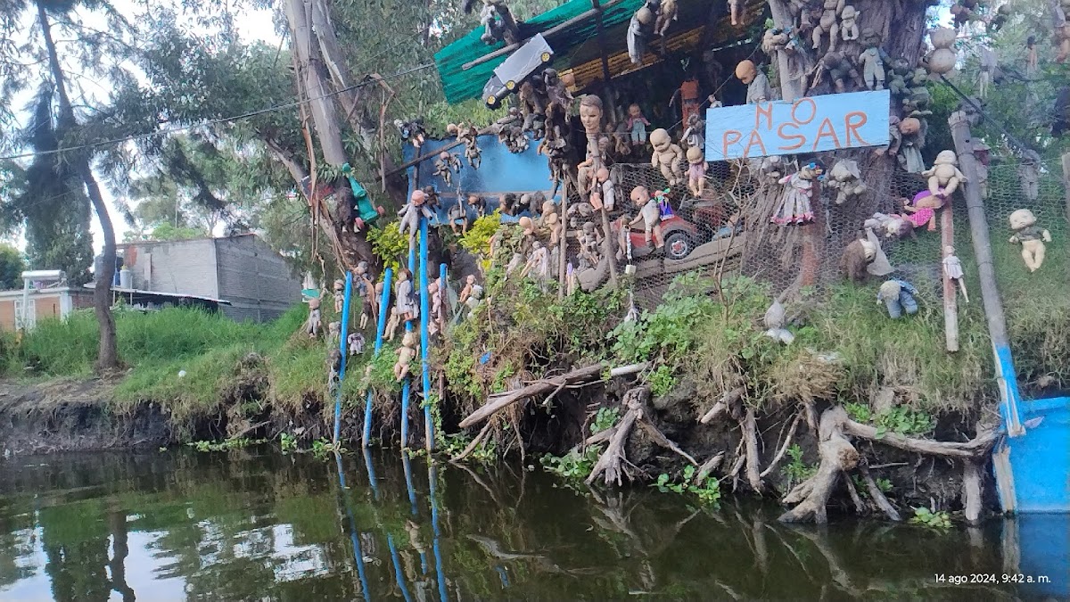 Trajineras Xochimilco Oficial gallery 4