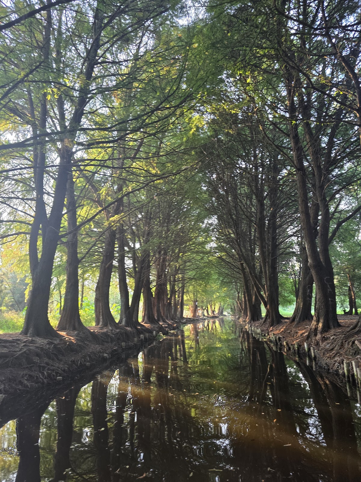 Trajineras Xochimilco Oficial gallery 6