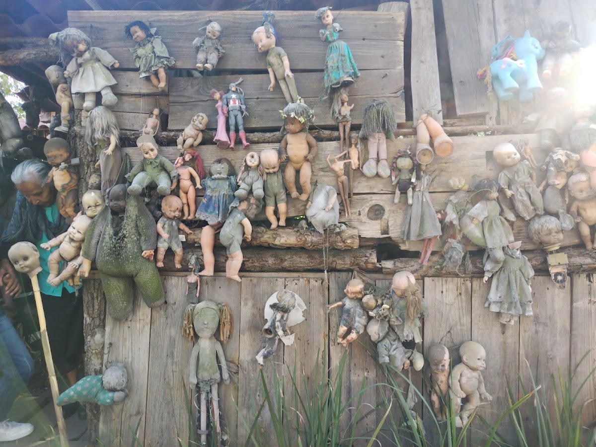 Trajineras Xochimilco Oficial gallery 7