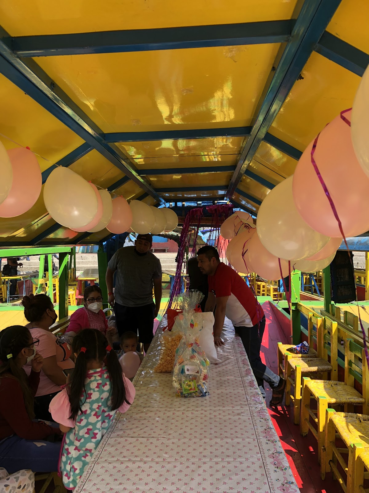 Trajineras Xochimilco Oficial gallery 8