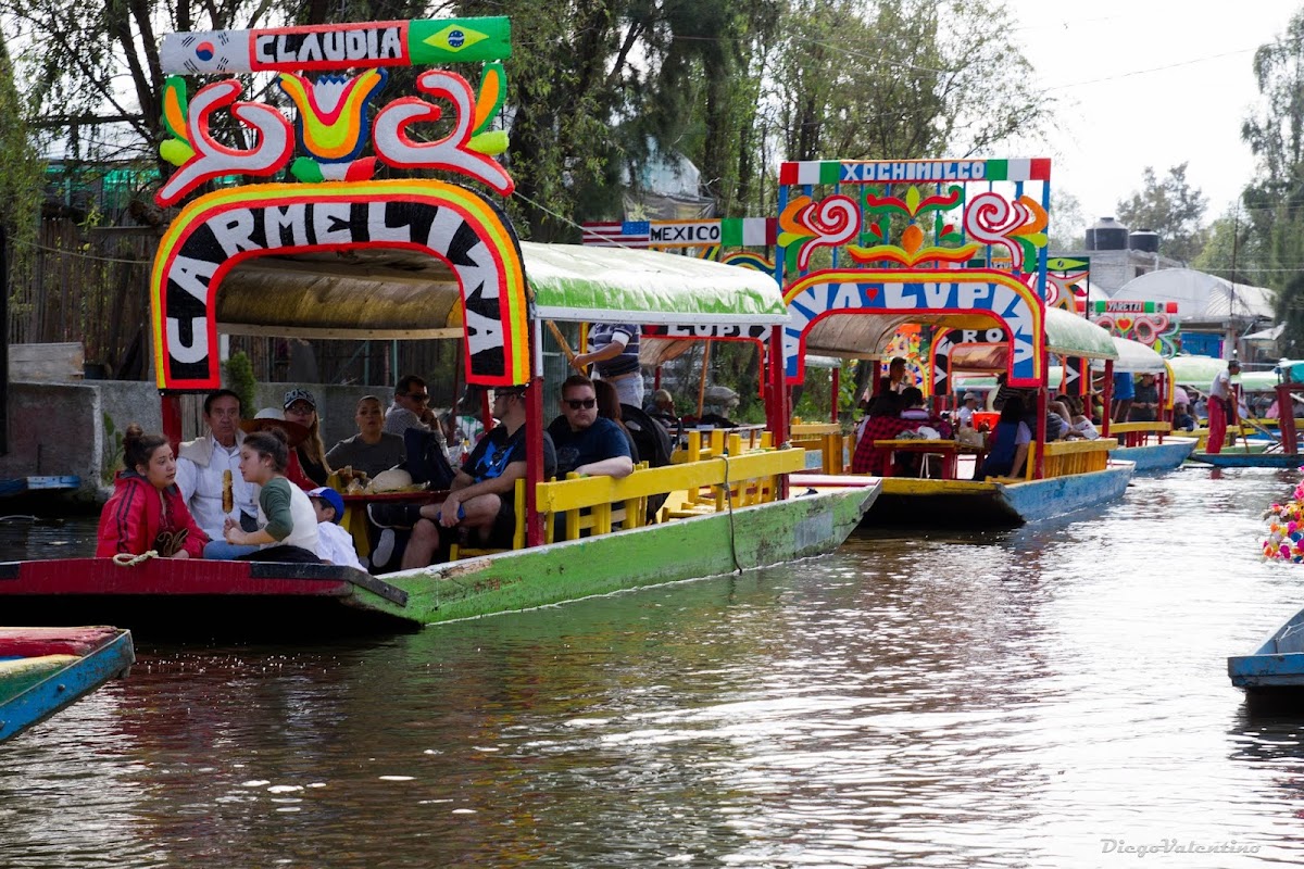 Magical Xochimilco Trajineras cover