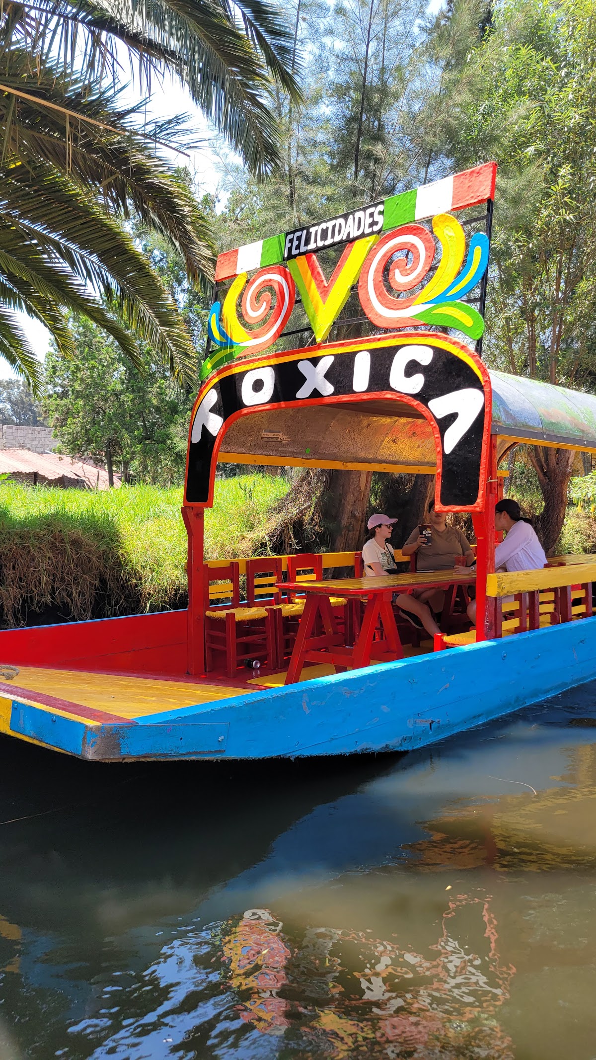 Magical Xochimilco Trajineras gallery 3