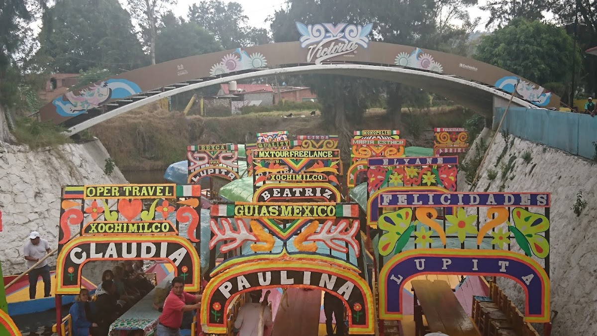 Magical Xochimilco Trajineras gallery 5