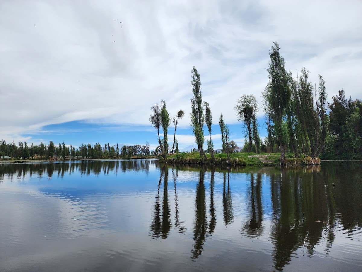 Lunadas in Trajinera Canals of Xochimilco gallery 3