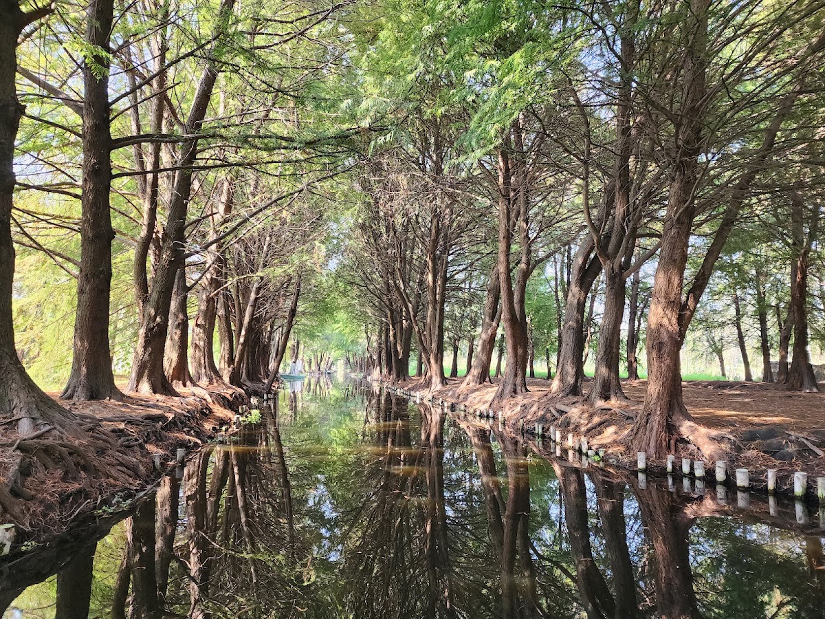 Lunadas in Trajinera Canals of Xochimilco gallery 5