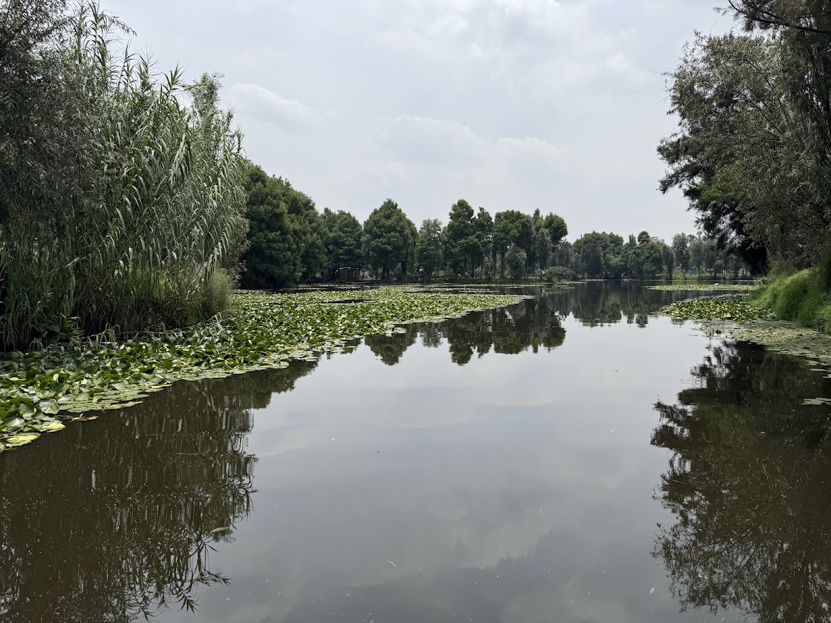 Lunadas in Trajinera Canals of Xochimilco gallery 6