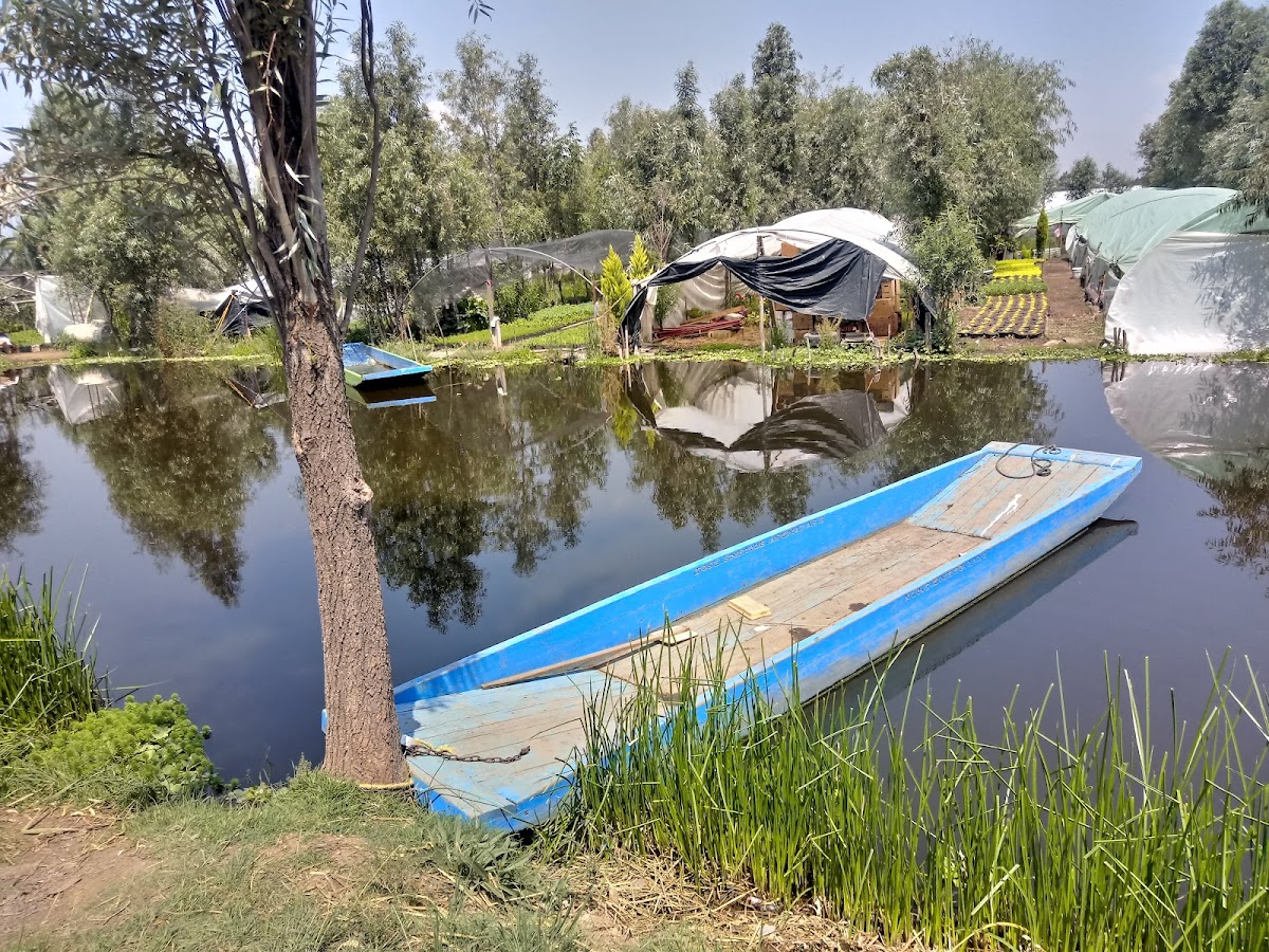 Lunadas in Trajinera Canals of Xochimilco gallery 8