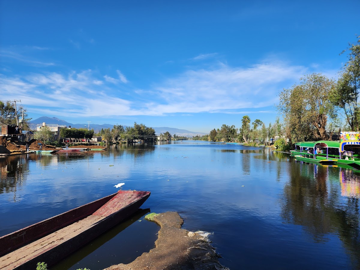 Lunadas in Trajinera Canals of Xochimilco gallery 9