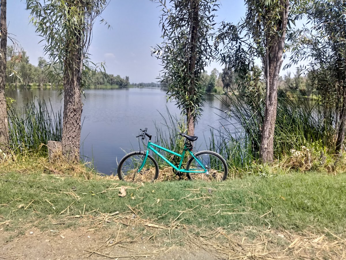 Lunadas in Trajinera Canals of Xochimilco gallery 10