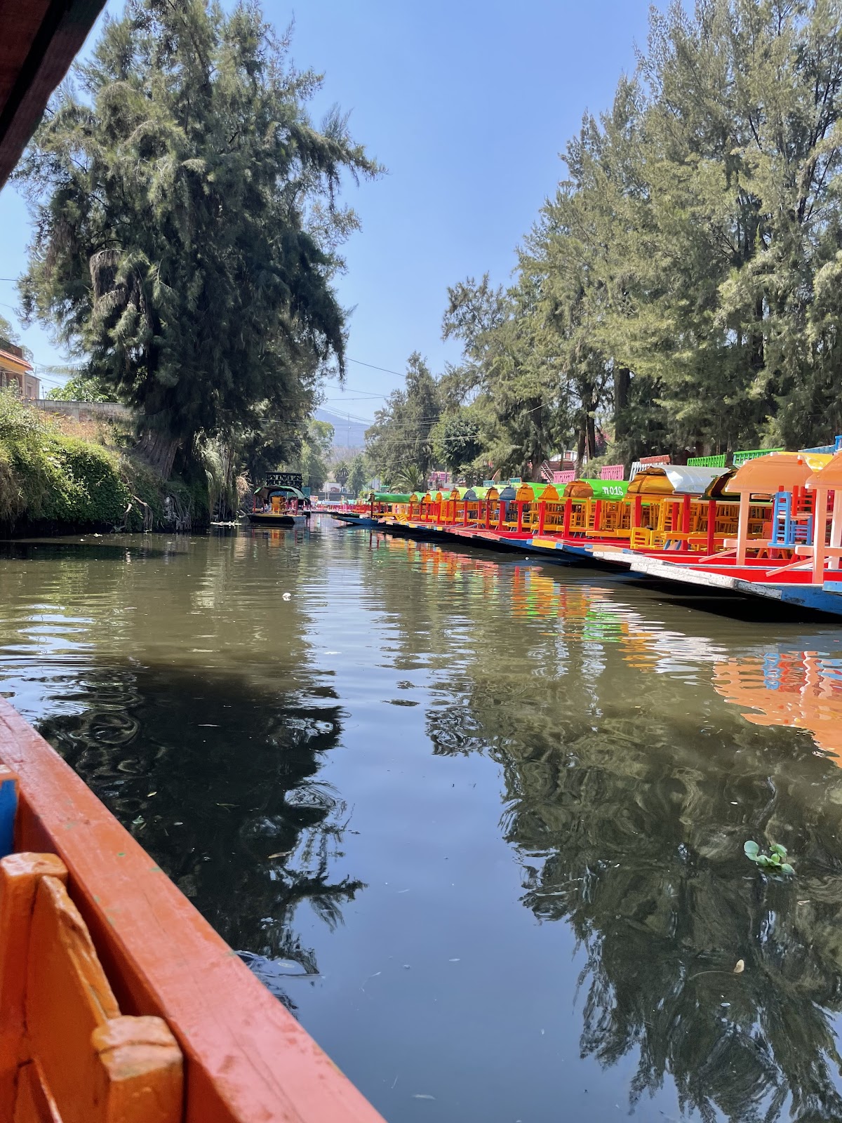 Embarcadero Las Flores Nativitas Xochimilco Xperience gallery 3
