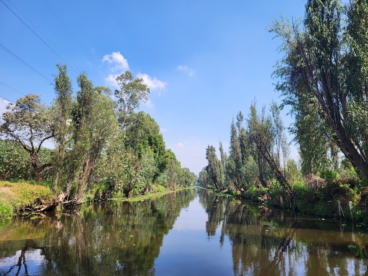 Trajineras Turísticas Xochimilco gallery 4