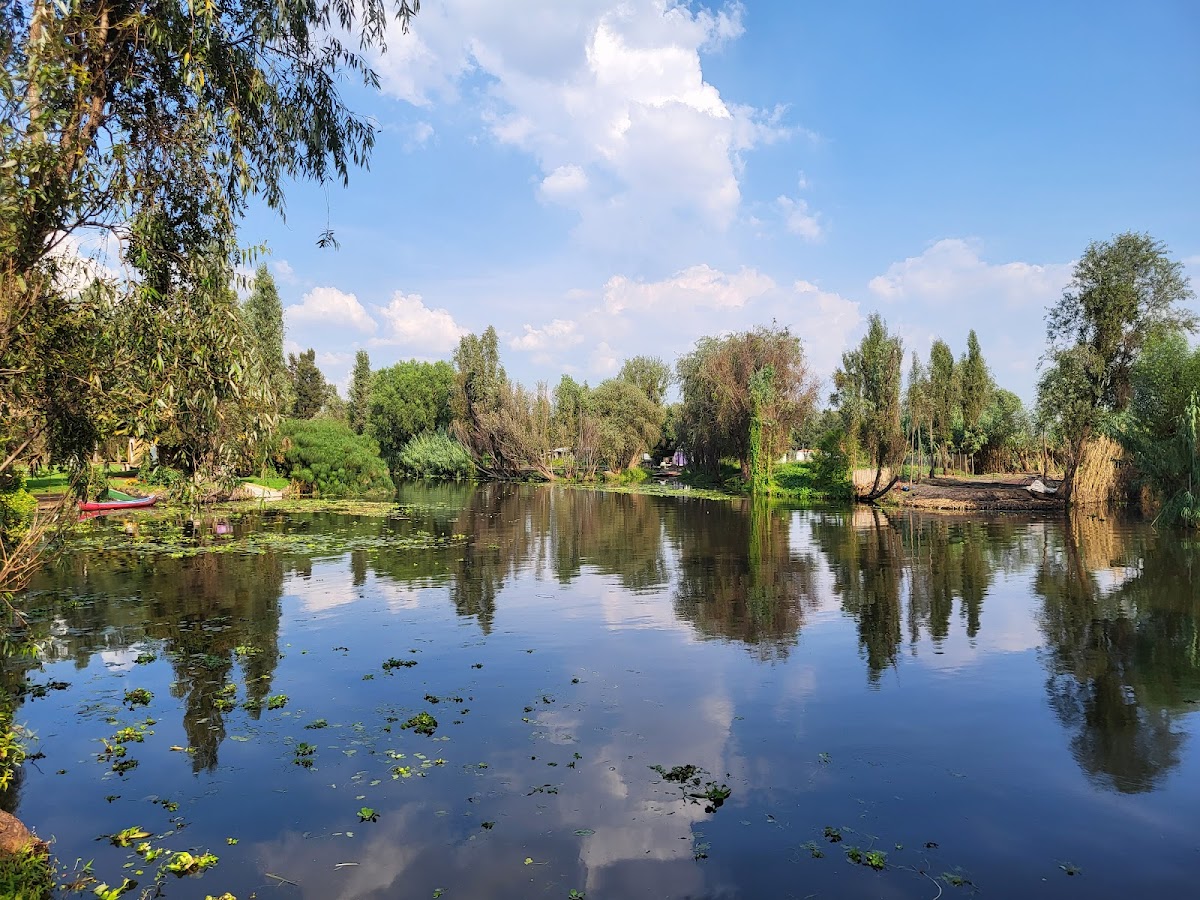 Trajineras Turísticas Xochimilco gallery 5