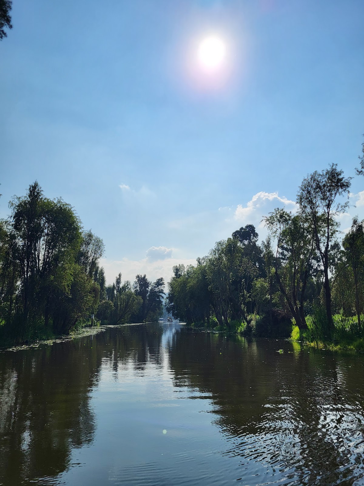 Trajineras Turísticas Xochimilco gallery 9