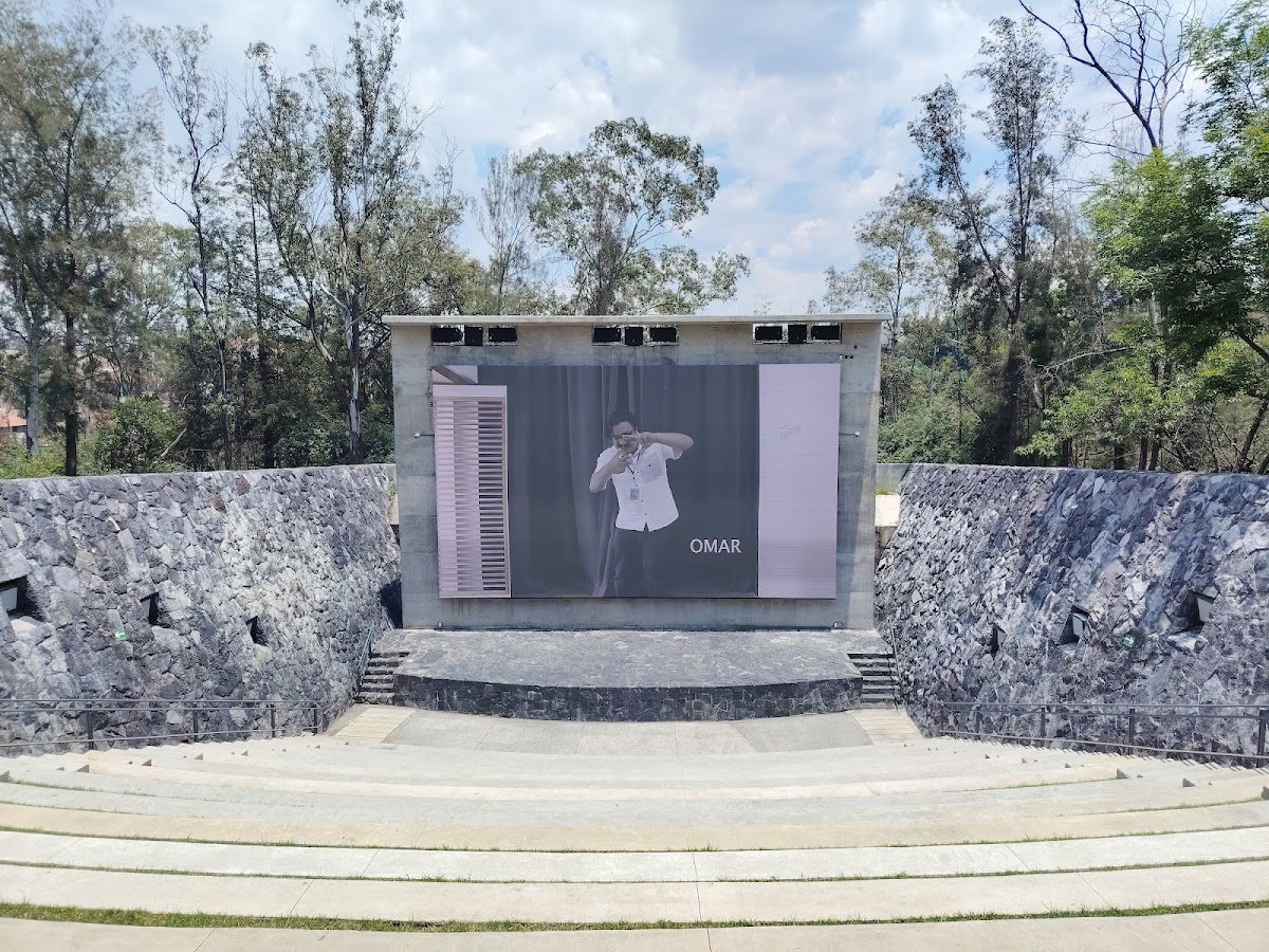 Real del Bosque gallery 4