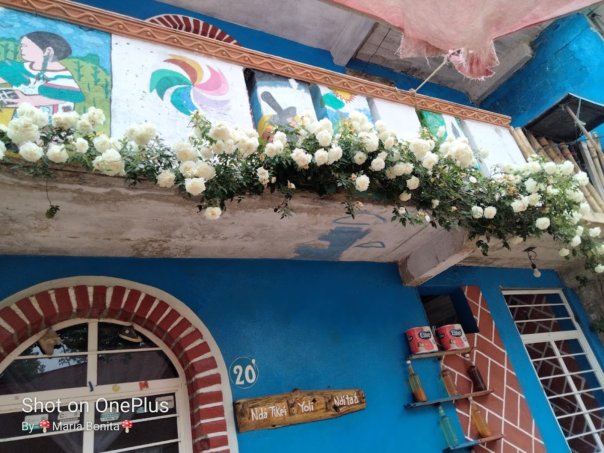 Casa de huéspedes "Maria Bonita" gallery 10