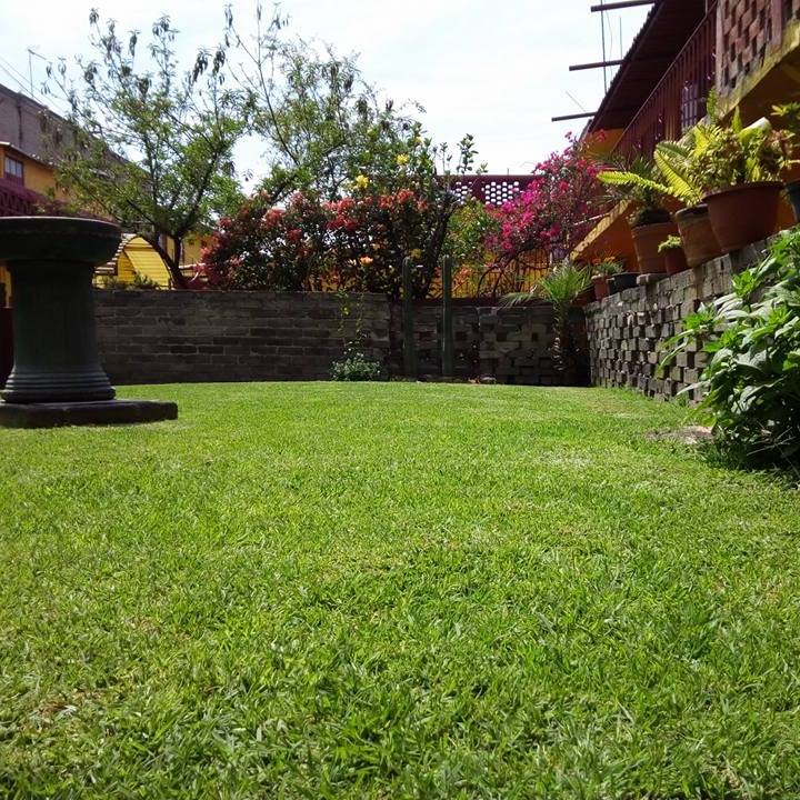 Casa Victoria ¨casa del estudiante¨ gallery 5