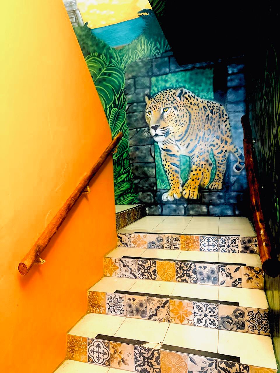 Ruta Del Sol gallery 10