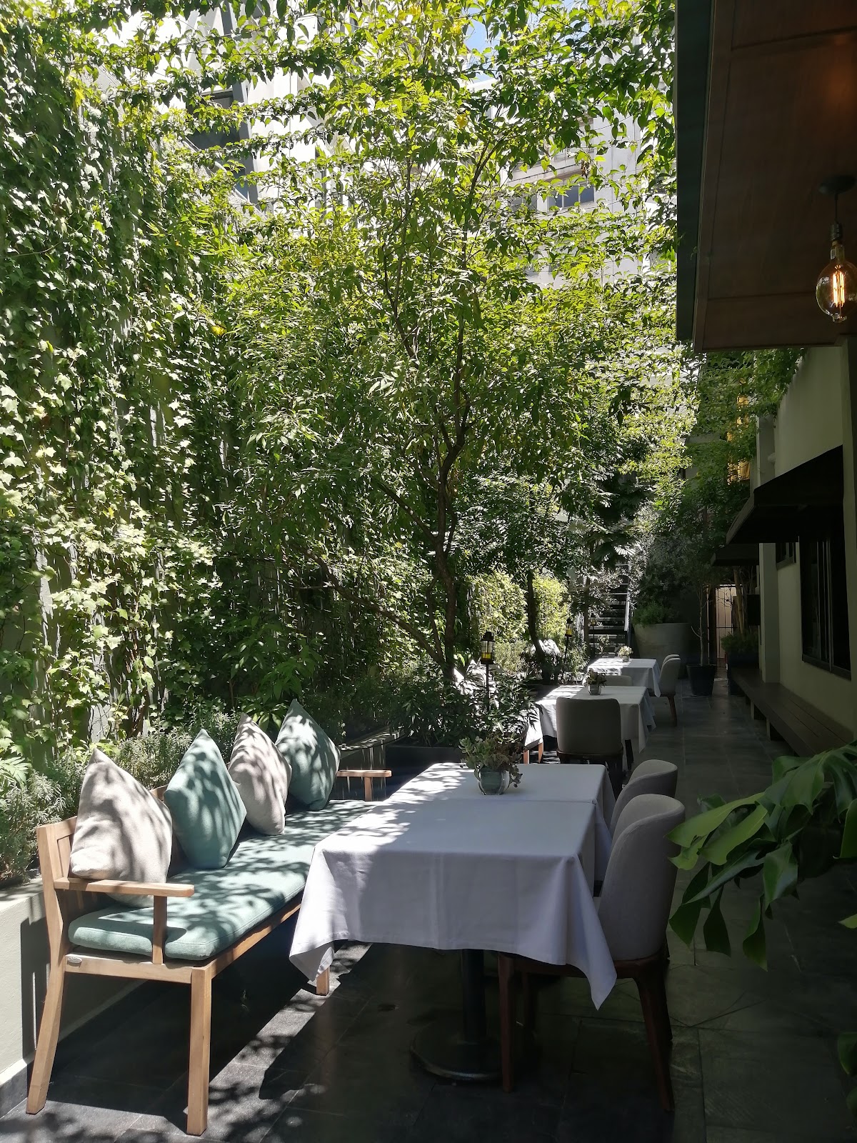 Casa Hedera gallery 7