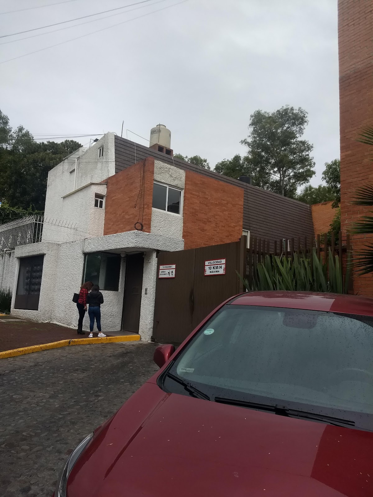 Royal of San Angel gallery 3