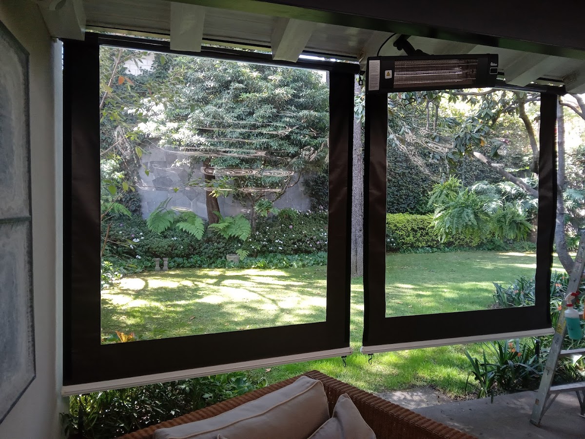 Royal of San Angel gallery 5