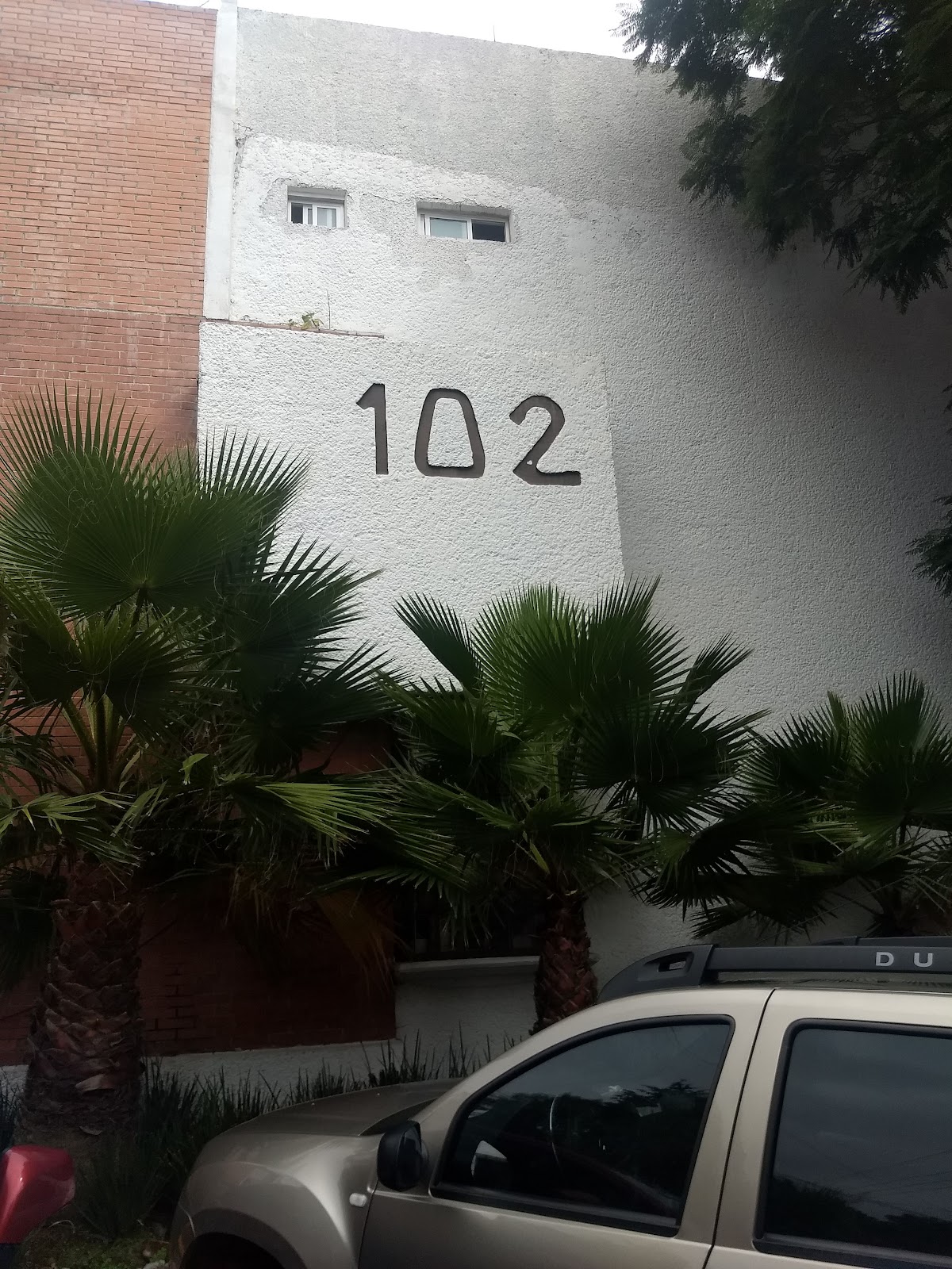 Royal of San Angel gallery 8