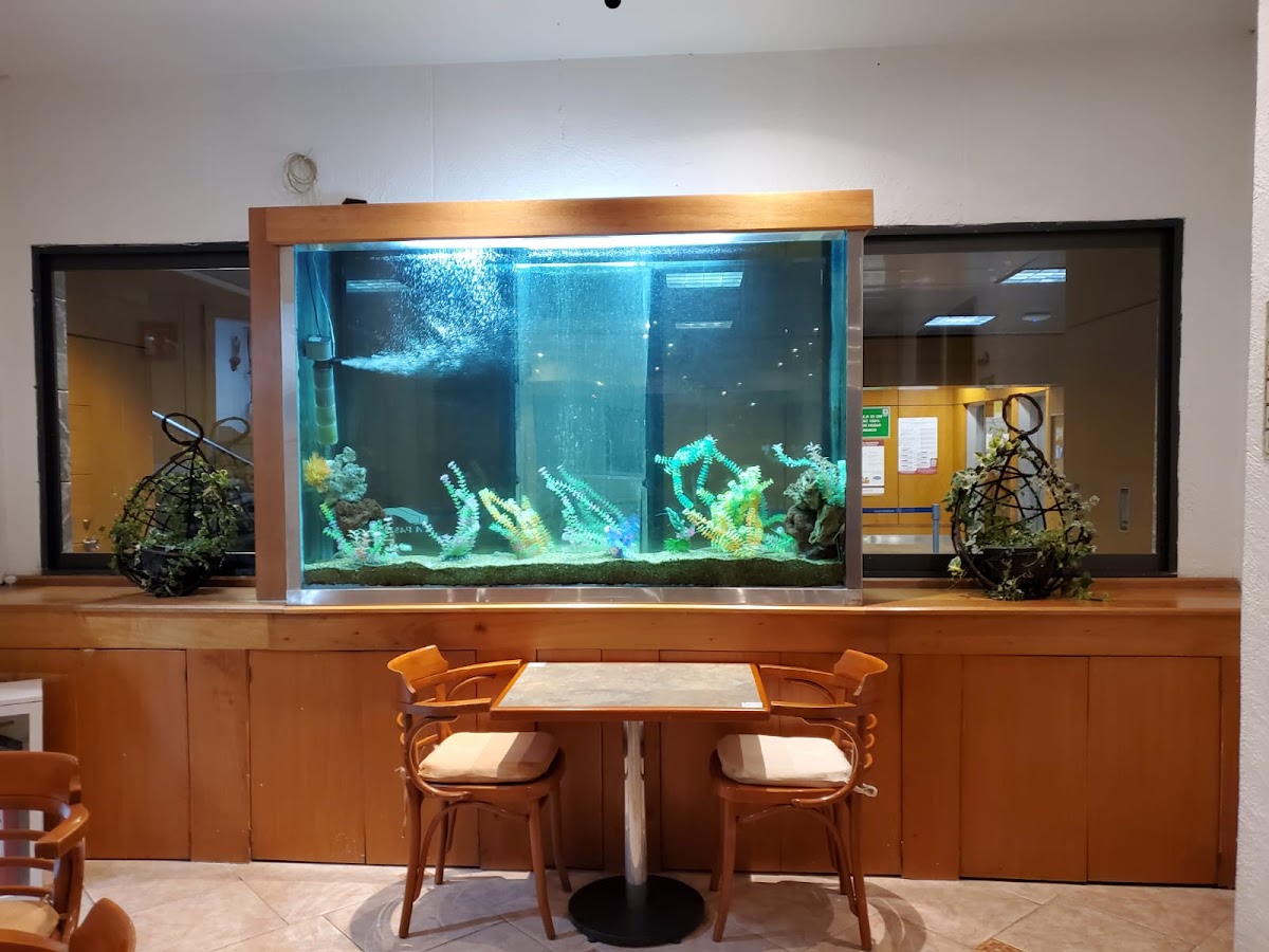 La Terraza Plaza Inn gallery 4