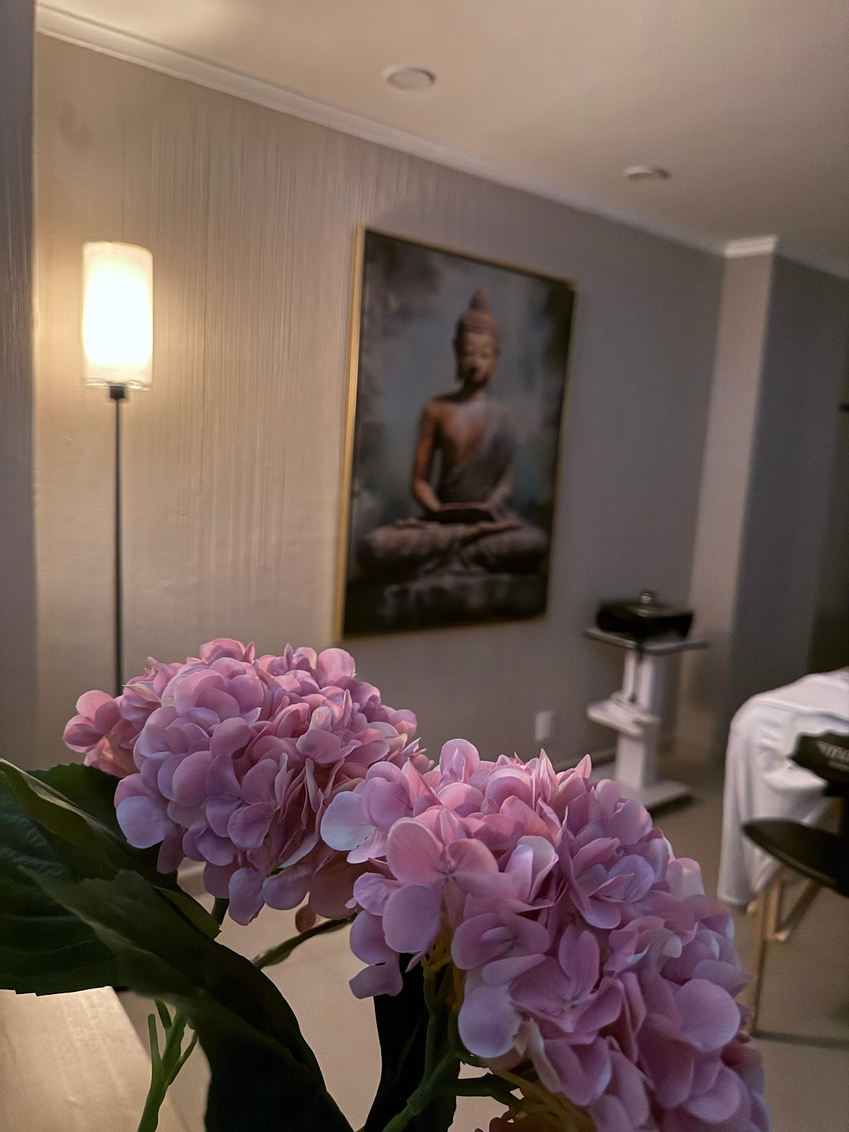 Get Spa Insurgentes Guadalupe Inn gallery 8