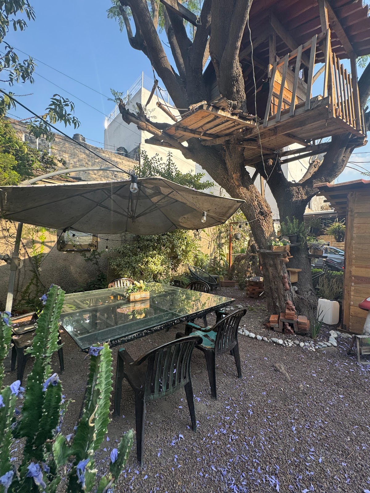 Casita del árbol gallery 4