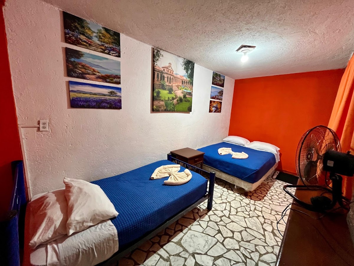 Casita del árbol gallery 9