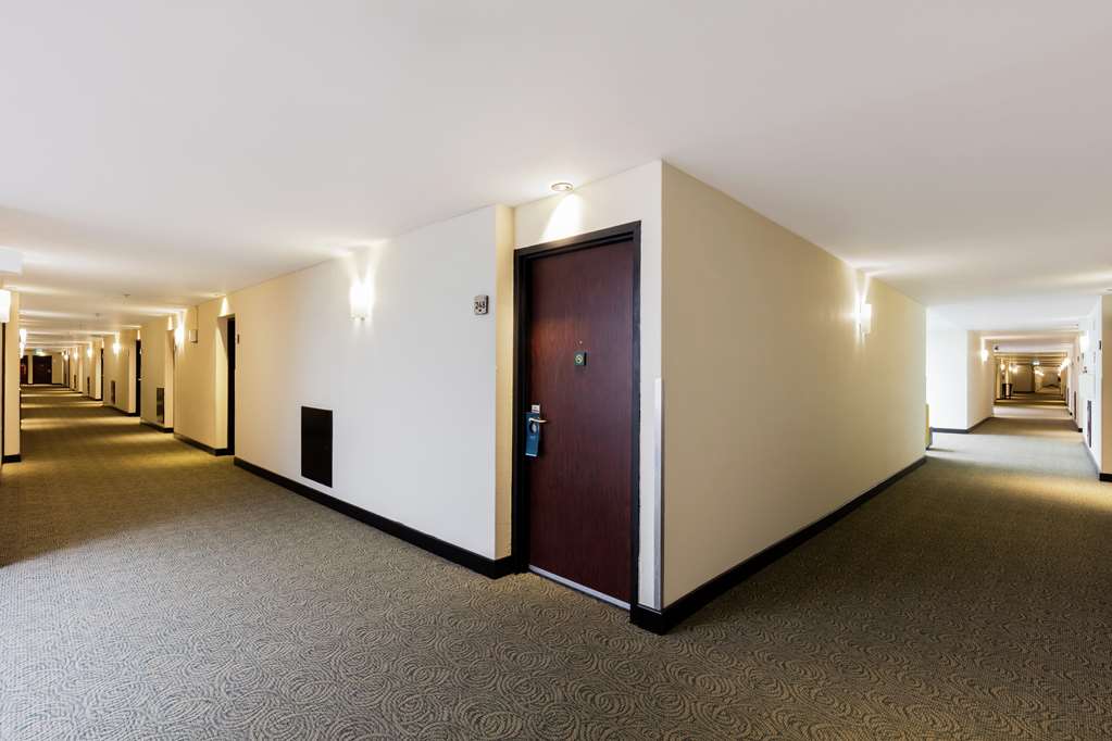 Hilton México City Airport gallery 9