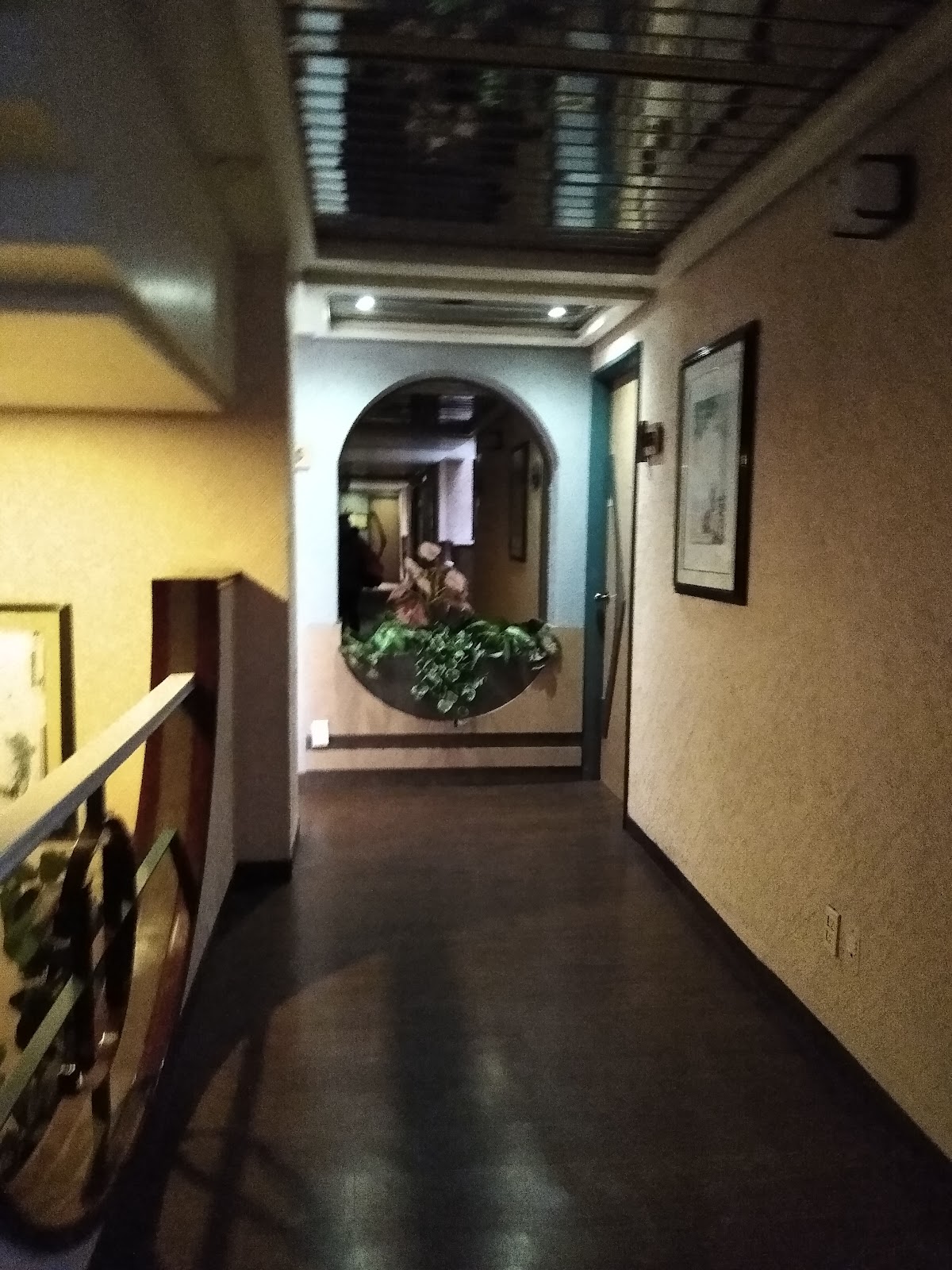 Hotel Cima gallery 4