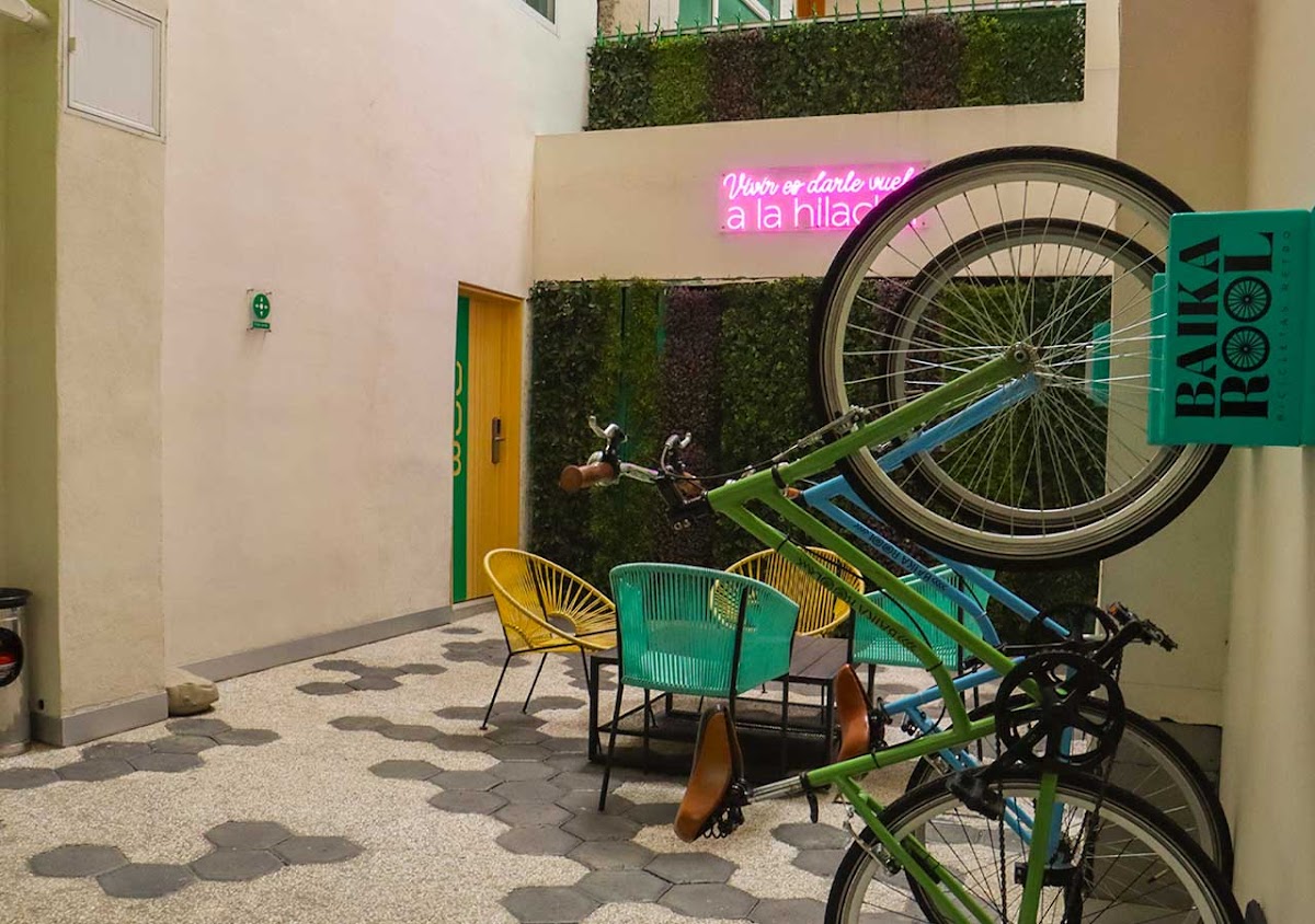 Hotel Vive MX, Trademark by Wyndham gallery 8