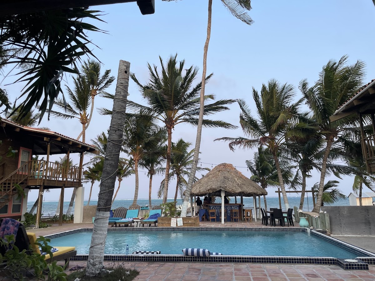 Sundiver Beach Resort gallery 3