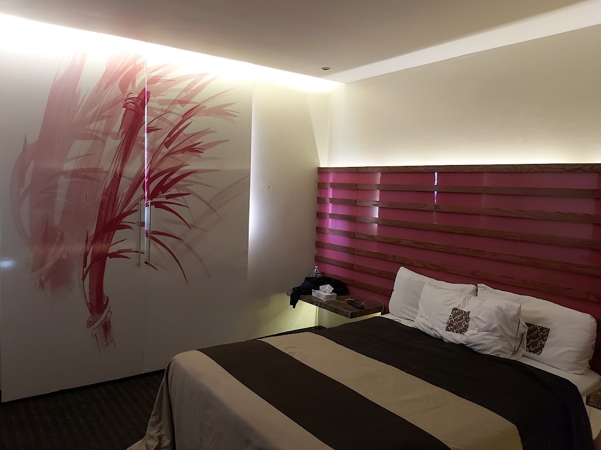 Hotel Aragón Plaza gallery 4