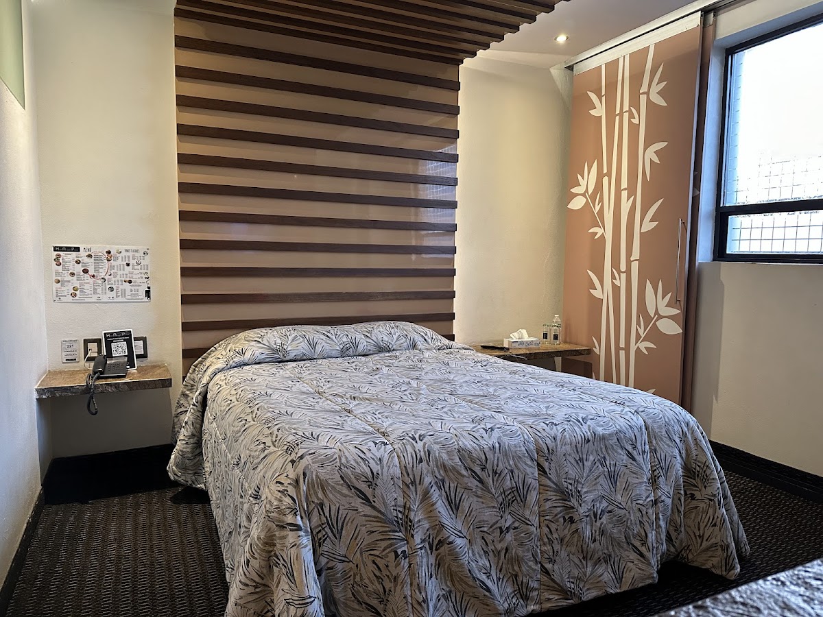 Hotel Aragón Plaza gallery 10