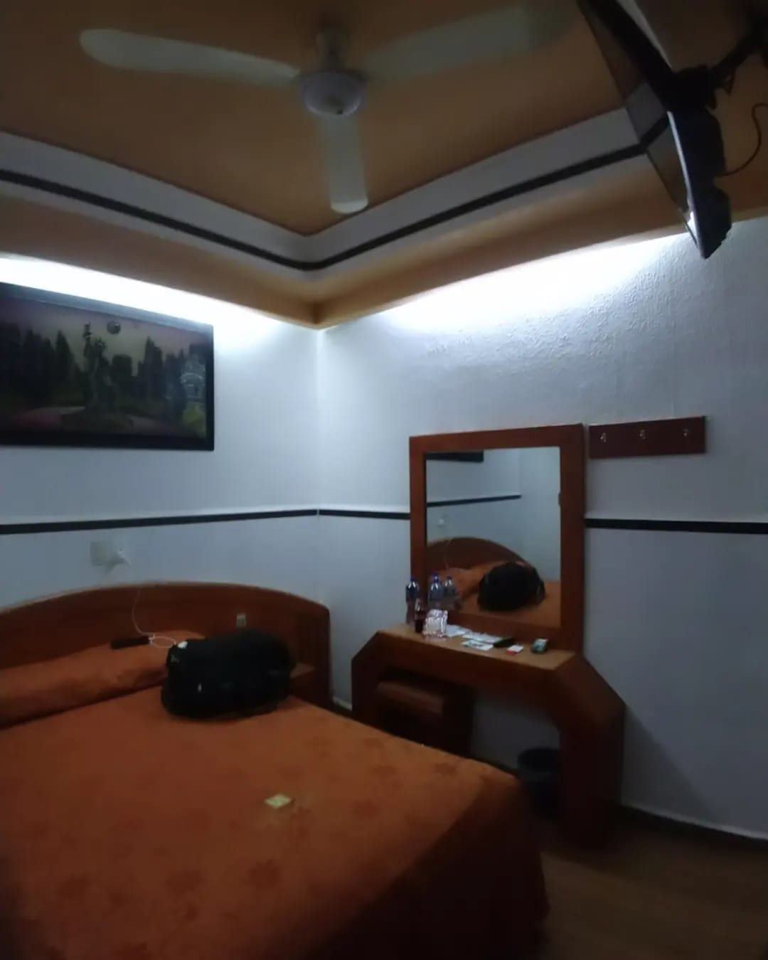 Hotel Vista Alegre gallery 8