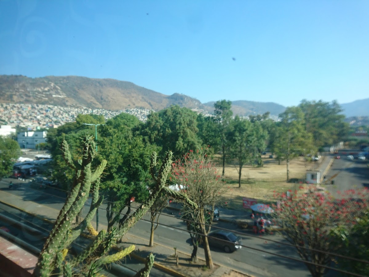 Hotel gallery 7