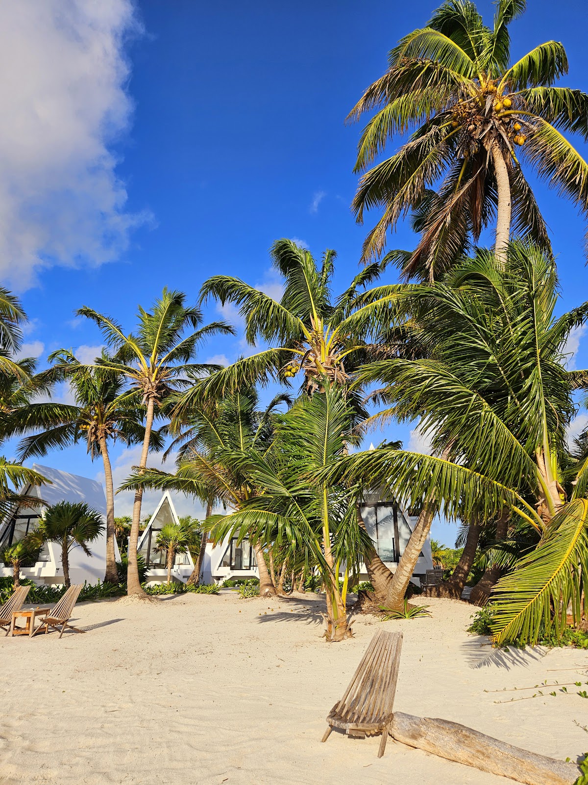 Sand and Sky Resort gallery 5