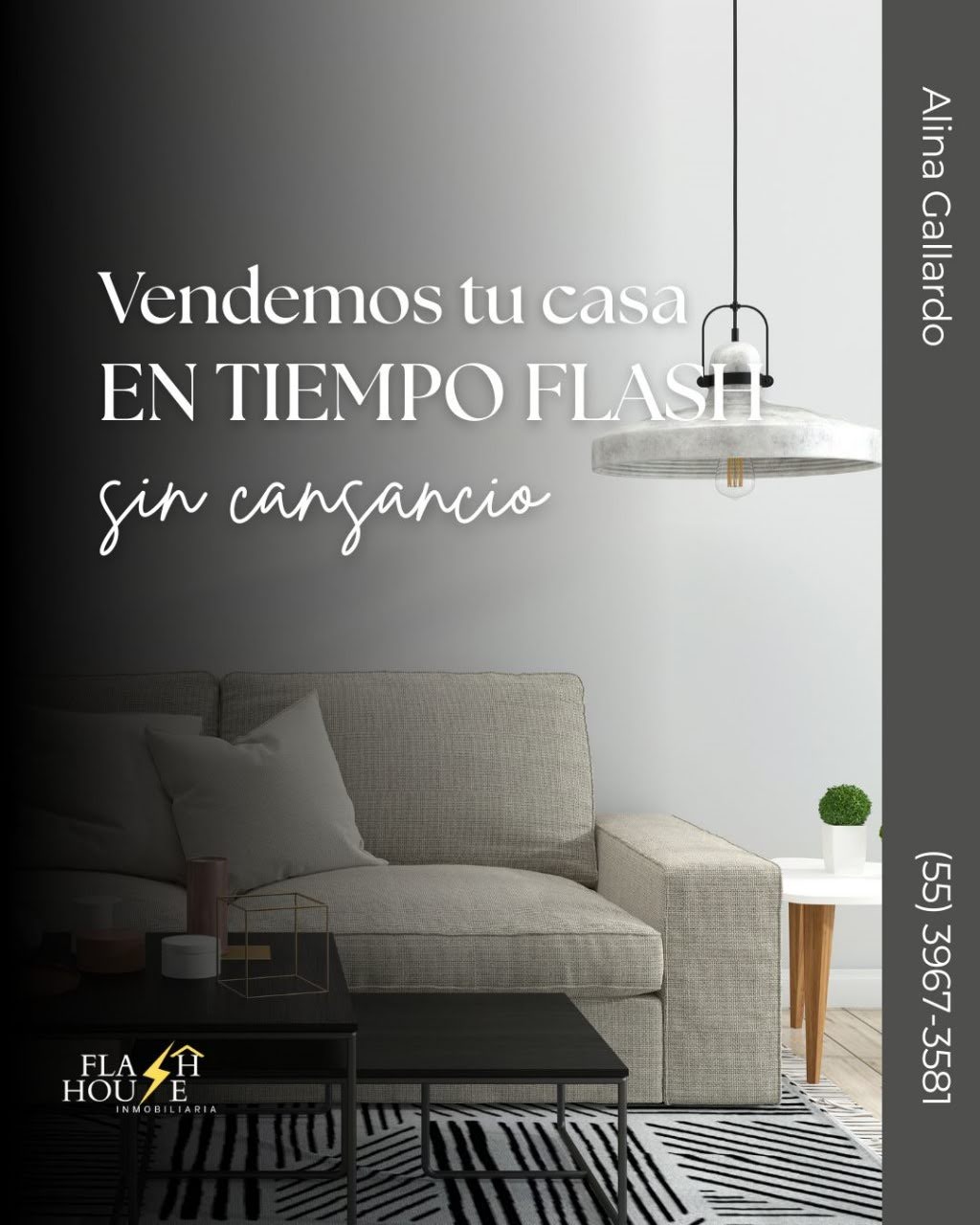 FLASH HOUSE INMOBILIARIA gallery 8