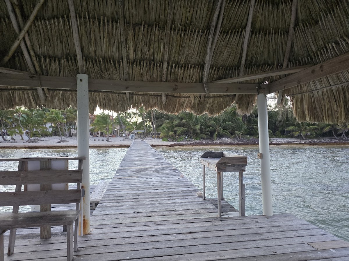 Diamond Reef gallery 8