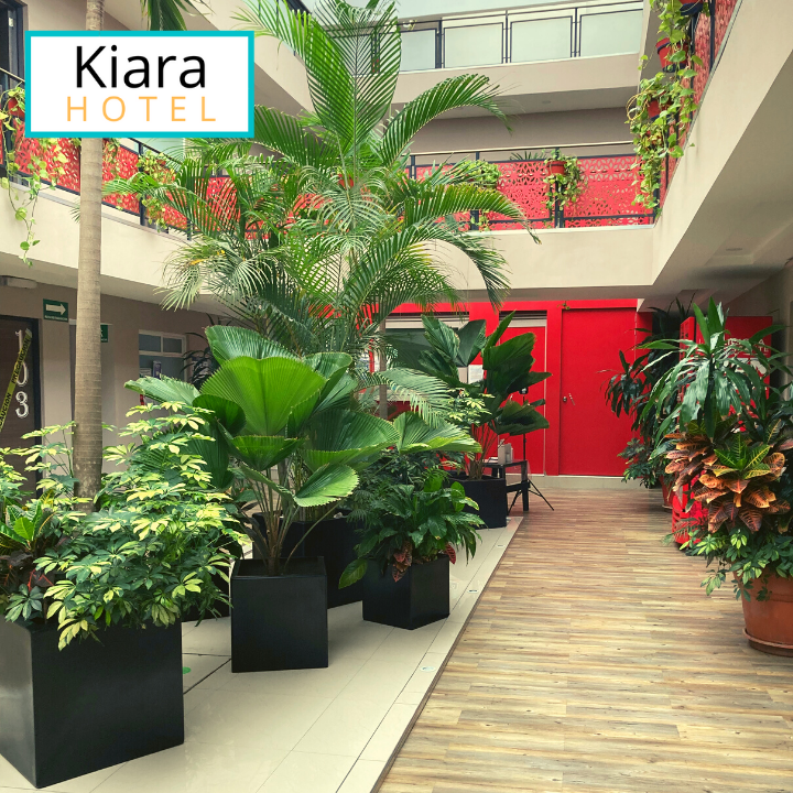 Hotel Kiara gallery 10