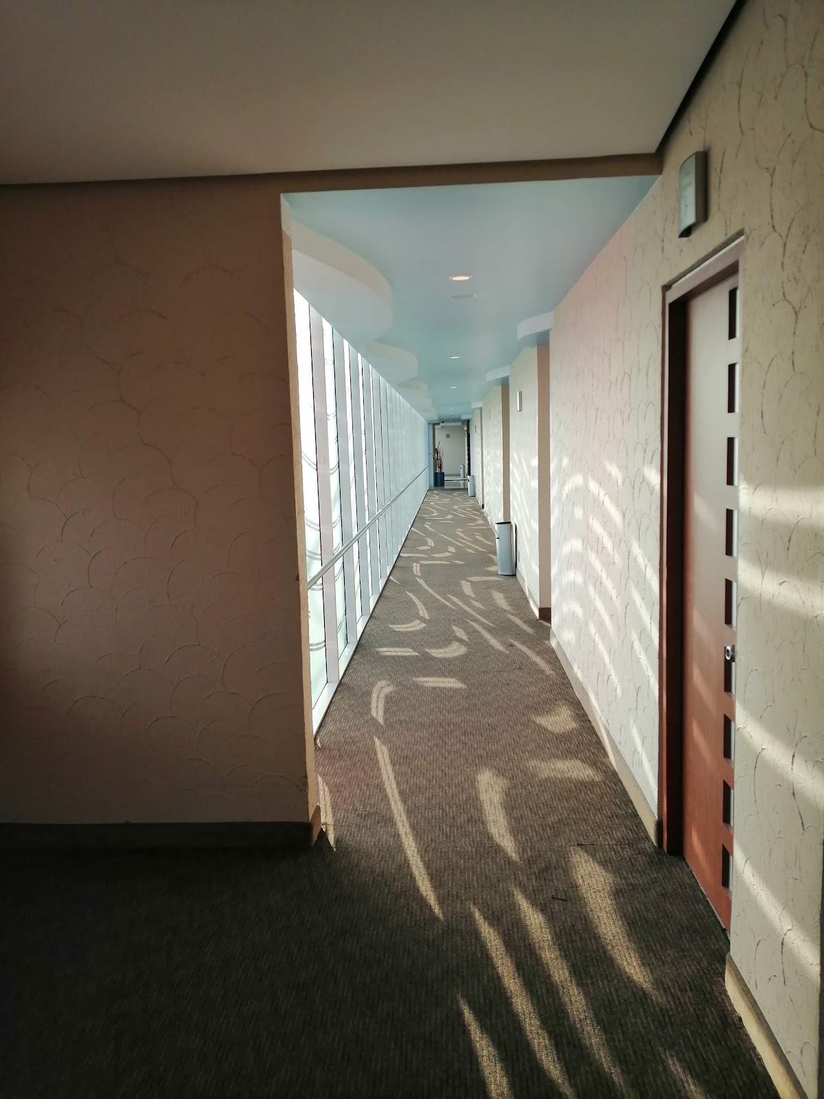 Hotel Verona gallery 7