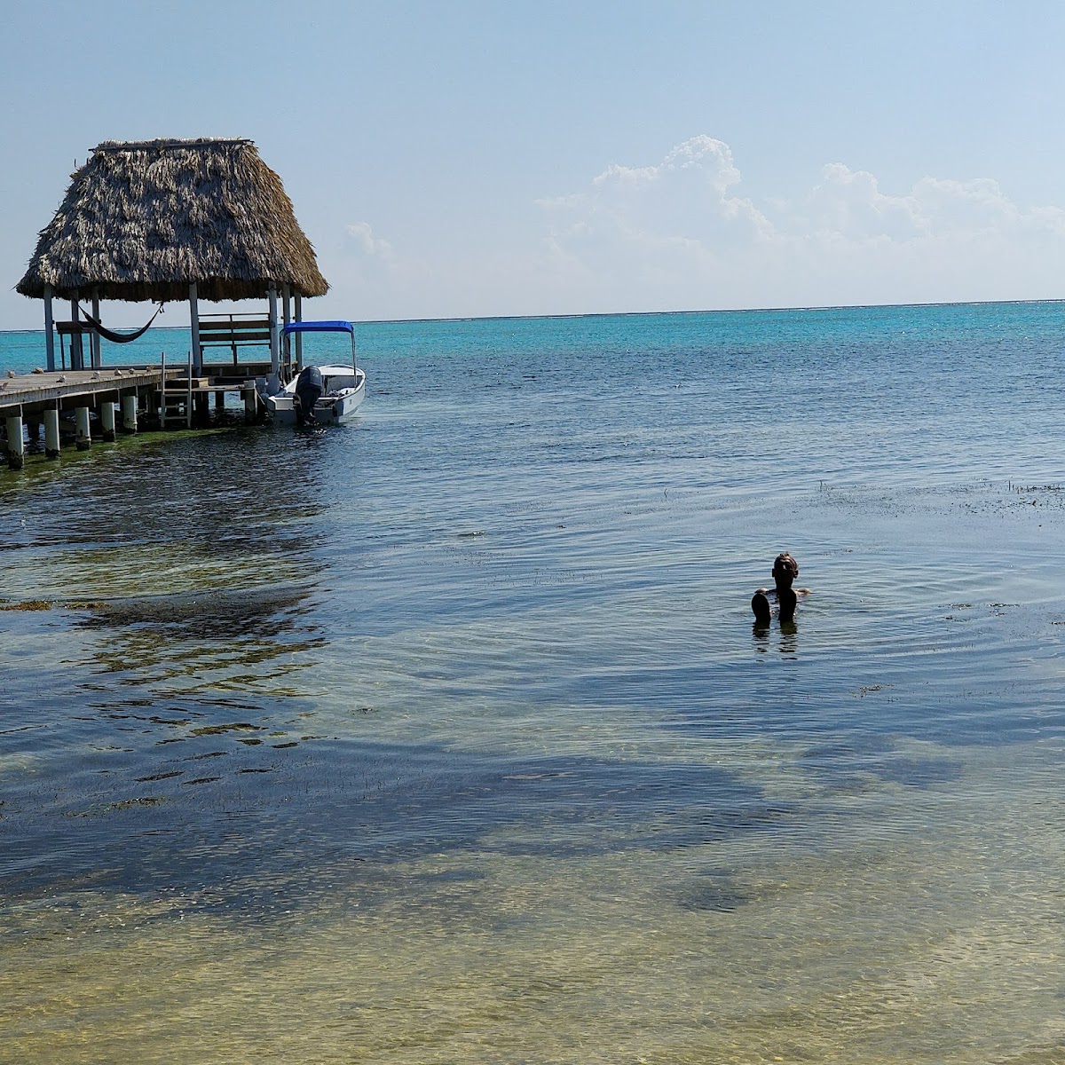 Diamond Reef gallery 9