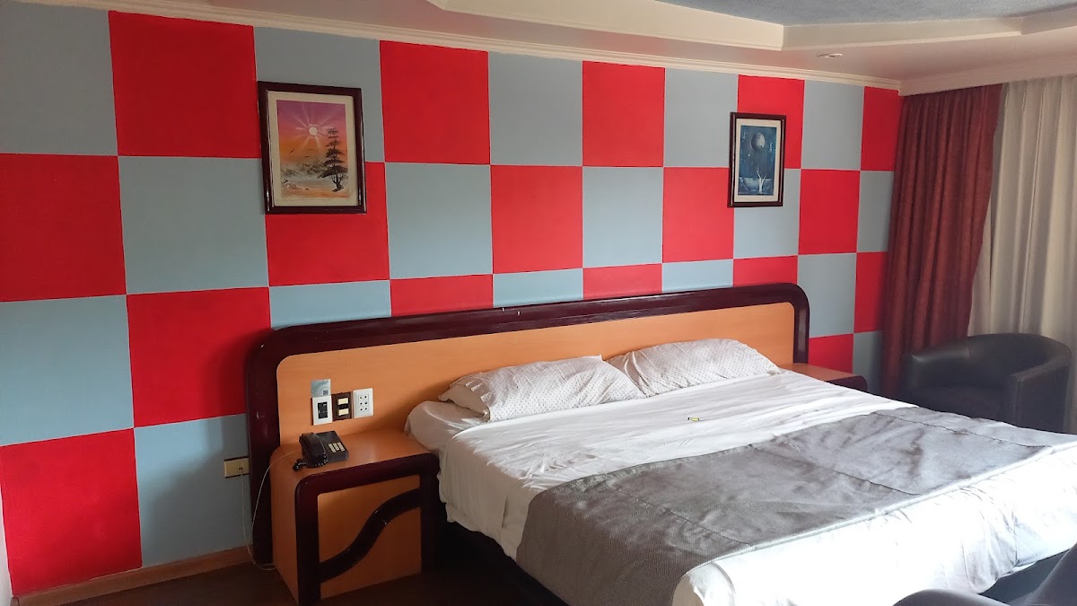 Hotel Del Dorado gallery 7