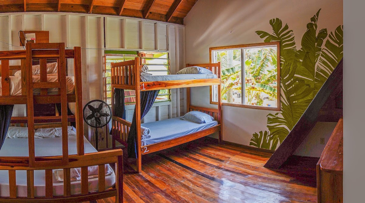 Bella's Backpackers Hostel gallery 2