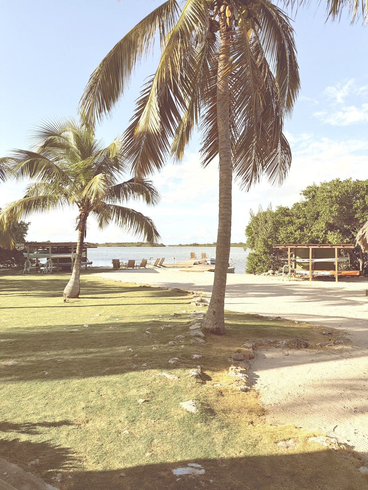 Cayo Frances Farm & Fly gallery 7